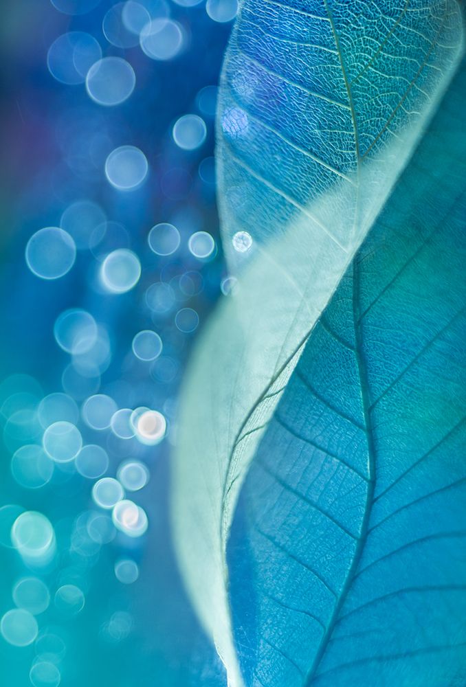 Supple art print by Shihya Kowatari for $57.95 CAD