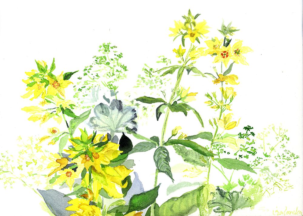 Wildblumen Aus Dem Erzgebirge art print by Eva Galonska for $57.95 CAD