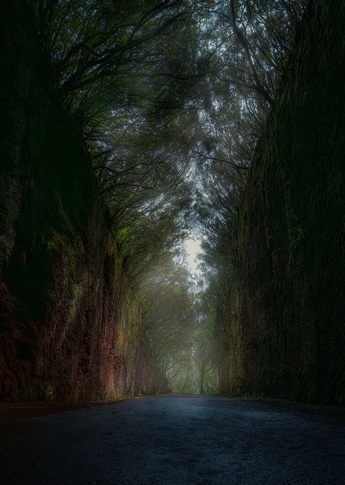 Mysterious Road art print by Carlos Hernandez Martinez for $57.95 CAD