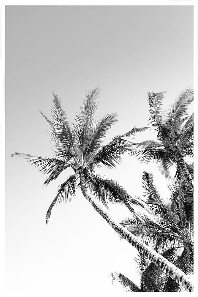 Palms Black And White Photography art print by The Miuus Studio for $57.95 CAD
