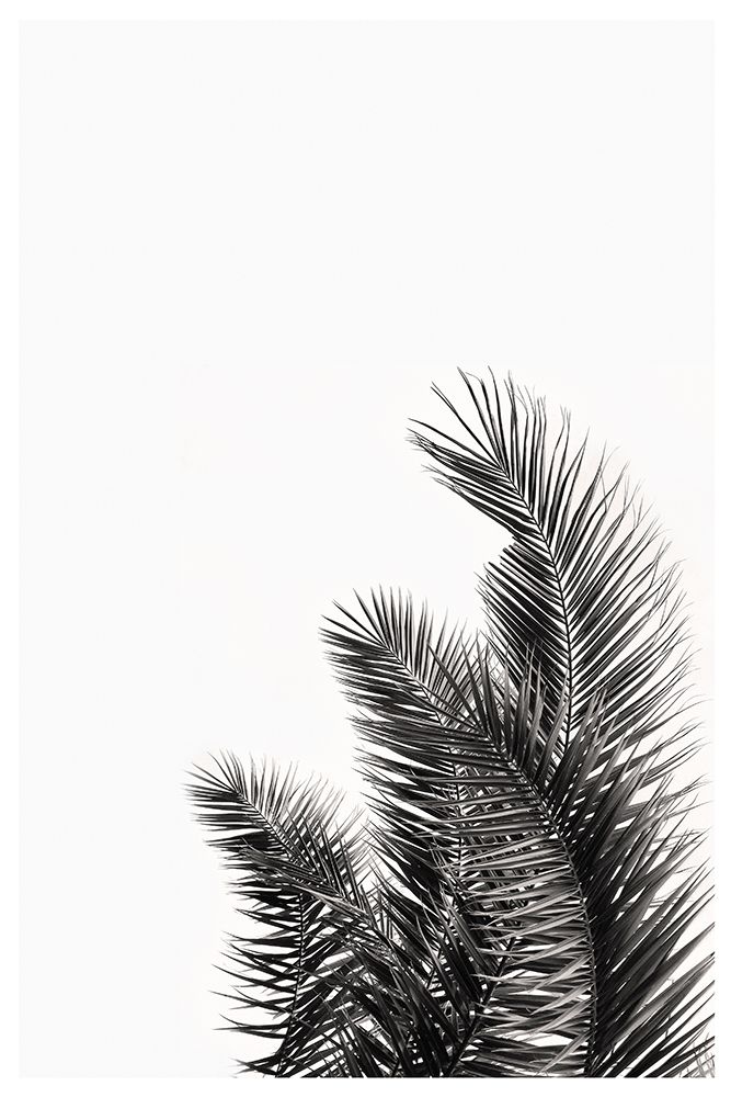 Palms Leaves art print by The Miuus Studio for $57.95 CAD