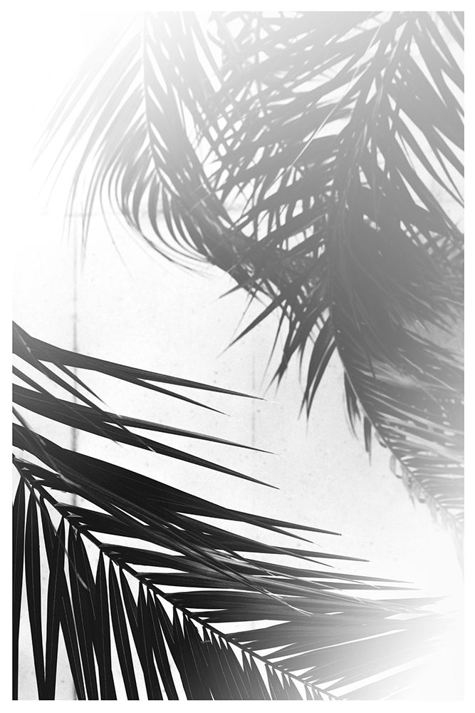 Summer Palms art print by The Miuus Studio for $57.95 CAD