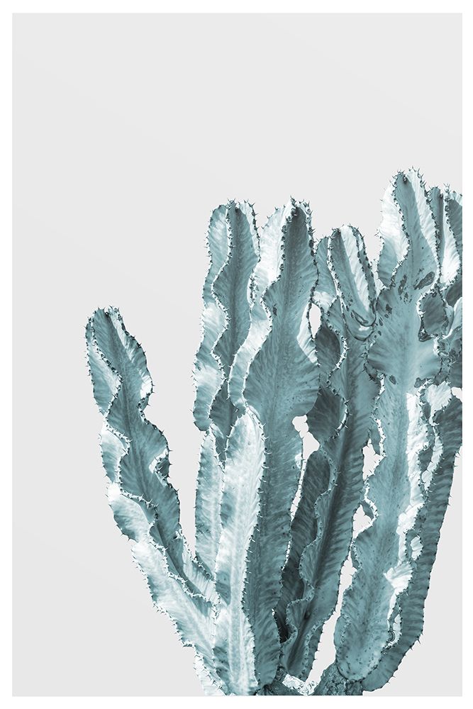 Boho Cactus No.2 art print by The Miuus Studio for $57.95 CAD