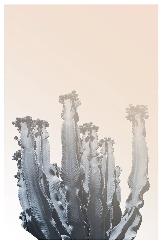 Boho Cactus No.3 art print by The Miuus Studio for $57.95 CAD