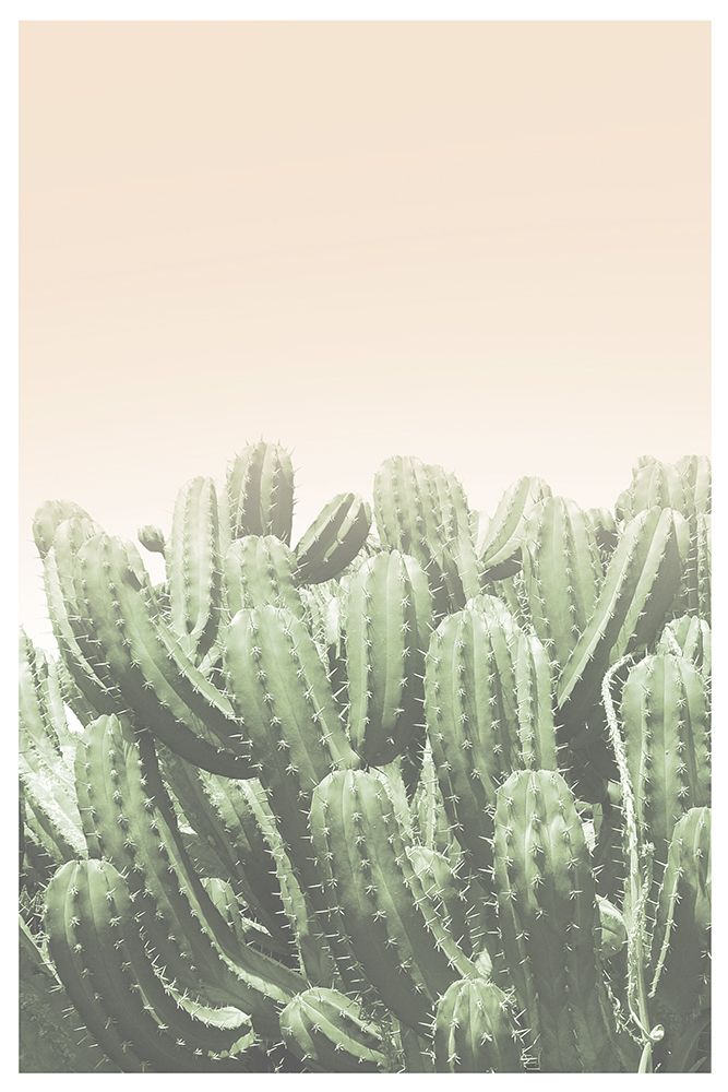 Boho Cactus No.4 art print by The Miuus Studio for $57.95 CAD