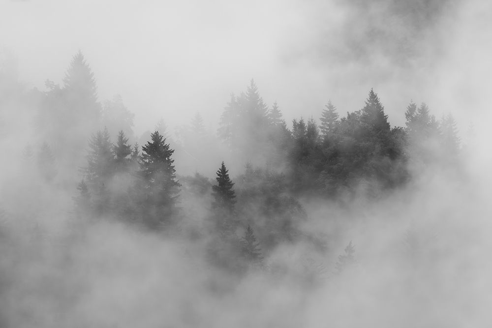 autumn II art print by Andy Dauer for $57.95 CAD