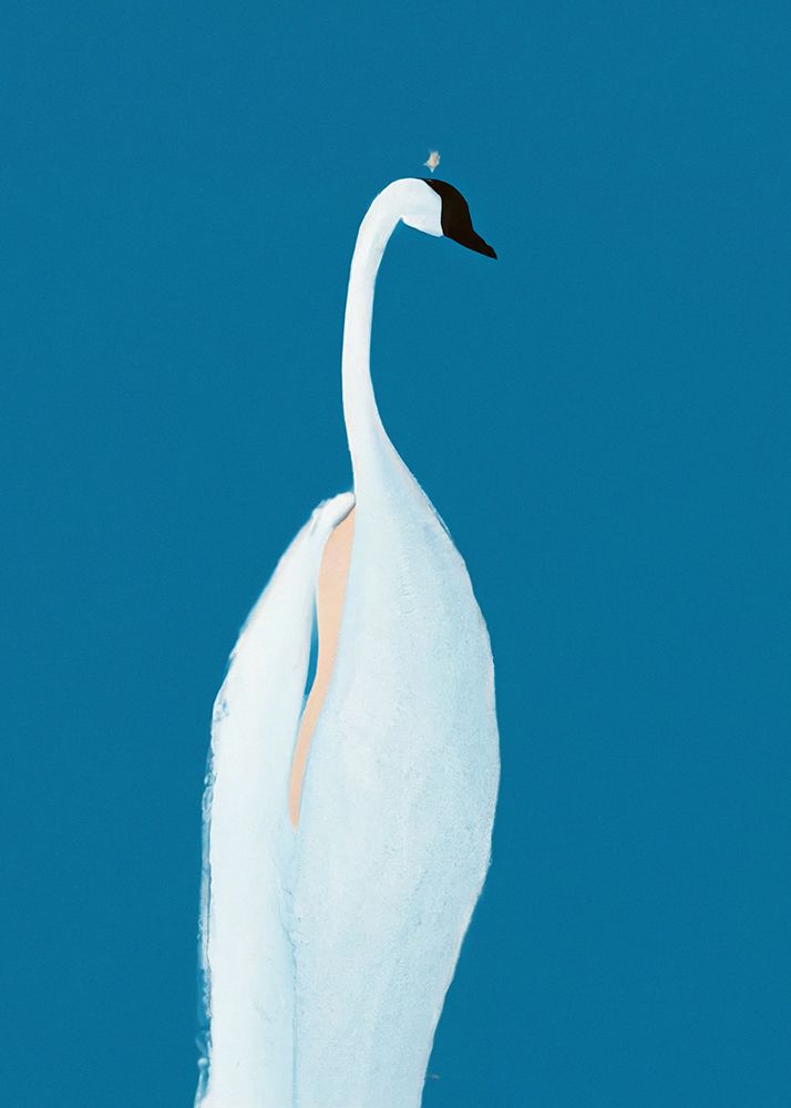 Swan Maybe art print by Merel Takken for $57.95 CAD