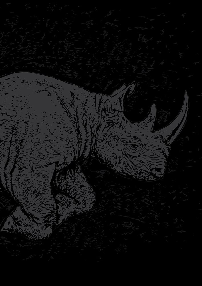Black Rhino Charging art print by Carlo Kaminski for $57.95 CAD