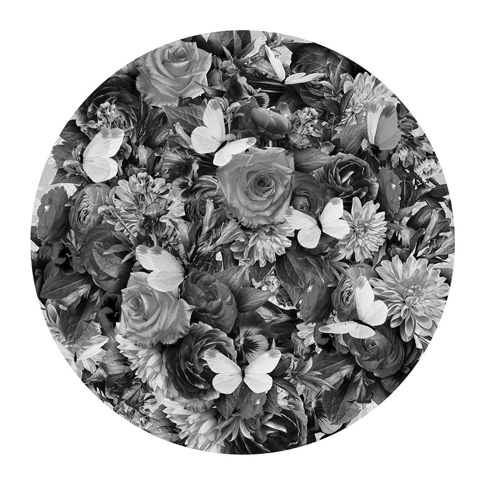 Destiny Blooms Black A White art print by Sue Skellern for $57.95 CAD