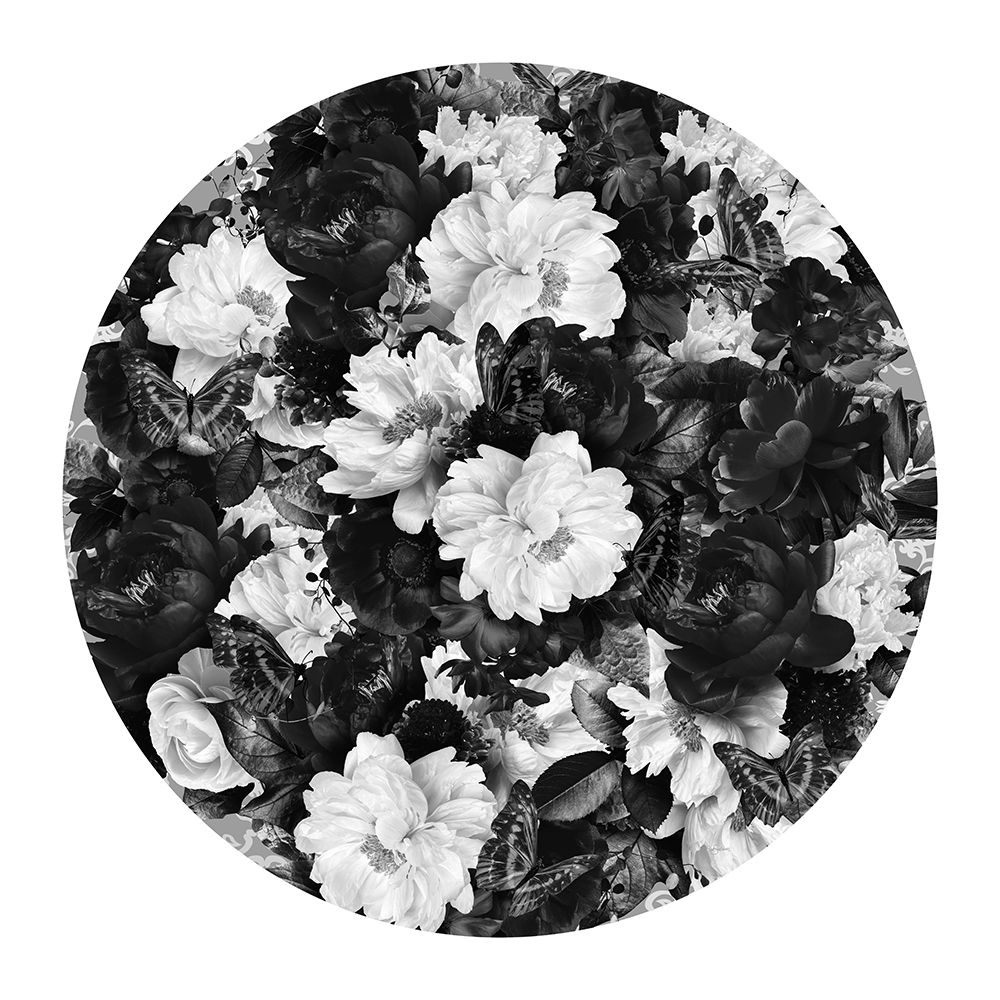 Bowie Blooms Black A White art print by Sue Skellern for $57.95 CAD