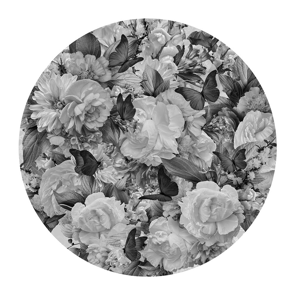 Morning Blooms Black A White art print by Sue Skellern for $57.95 CAD