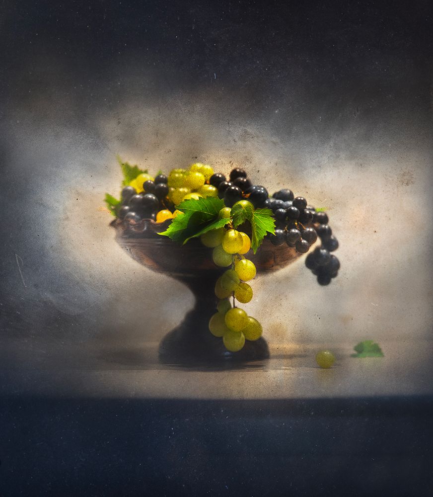 Grapes art print by Elisabeth Van Helden for $57.95 CAD
