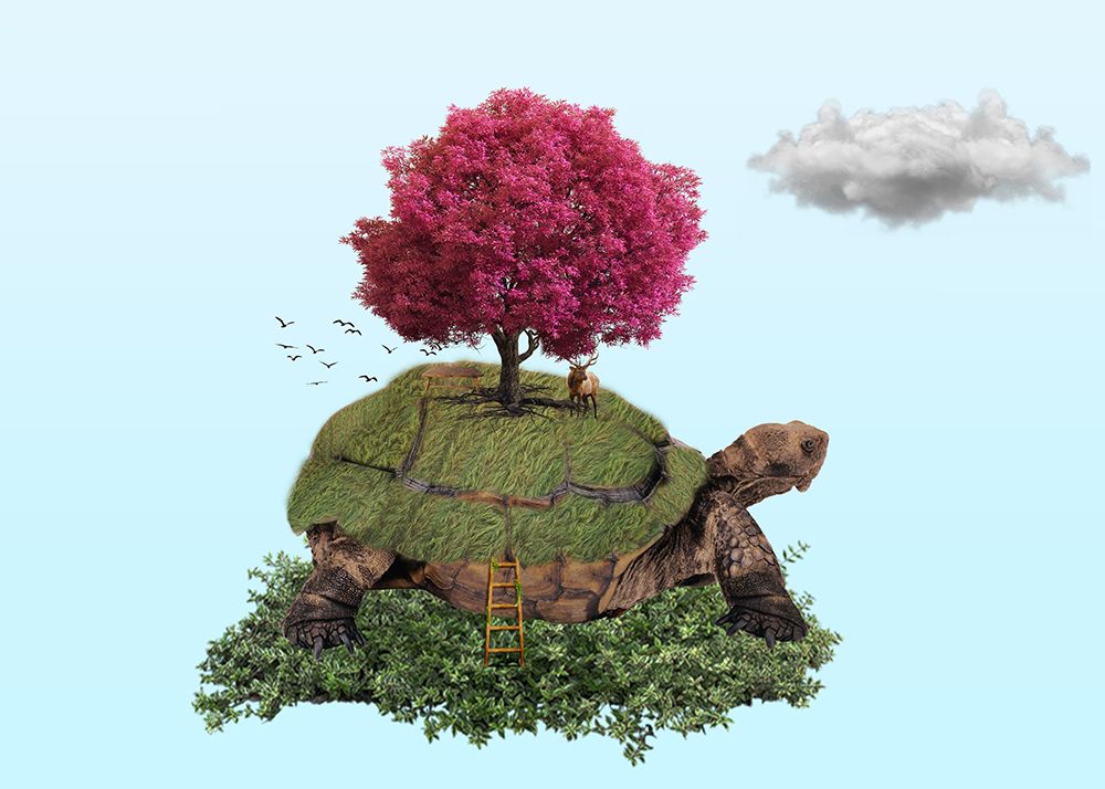 Turtle art print by Salome Zhividze for $57.95 CAD