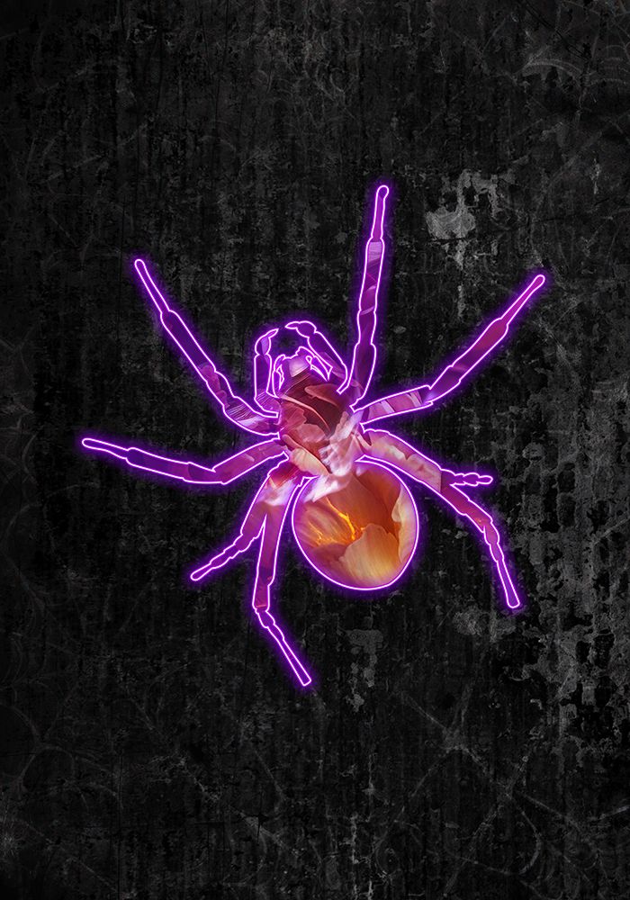 Neon Halloween Spider art print by Sarah Manovski for $57.95 CAD