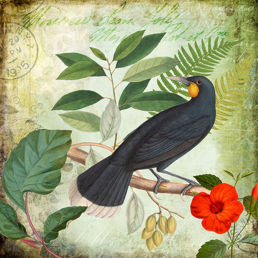 Birds Garden art print by Andrea Haase for $57.95 CAD