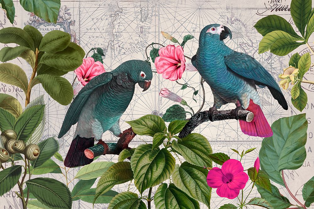 Parrots Nostalgic Journey Kopie art print by Andrea Haase for $57.95 CAD