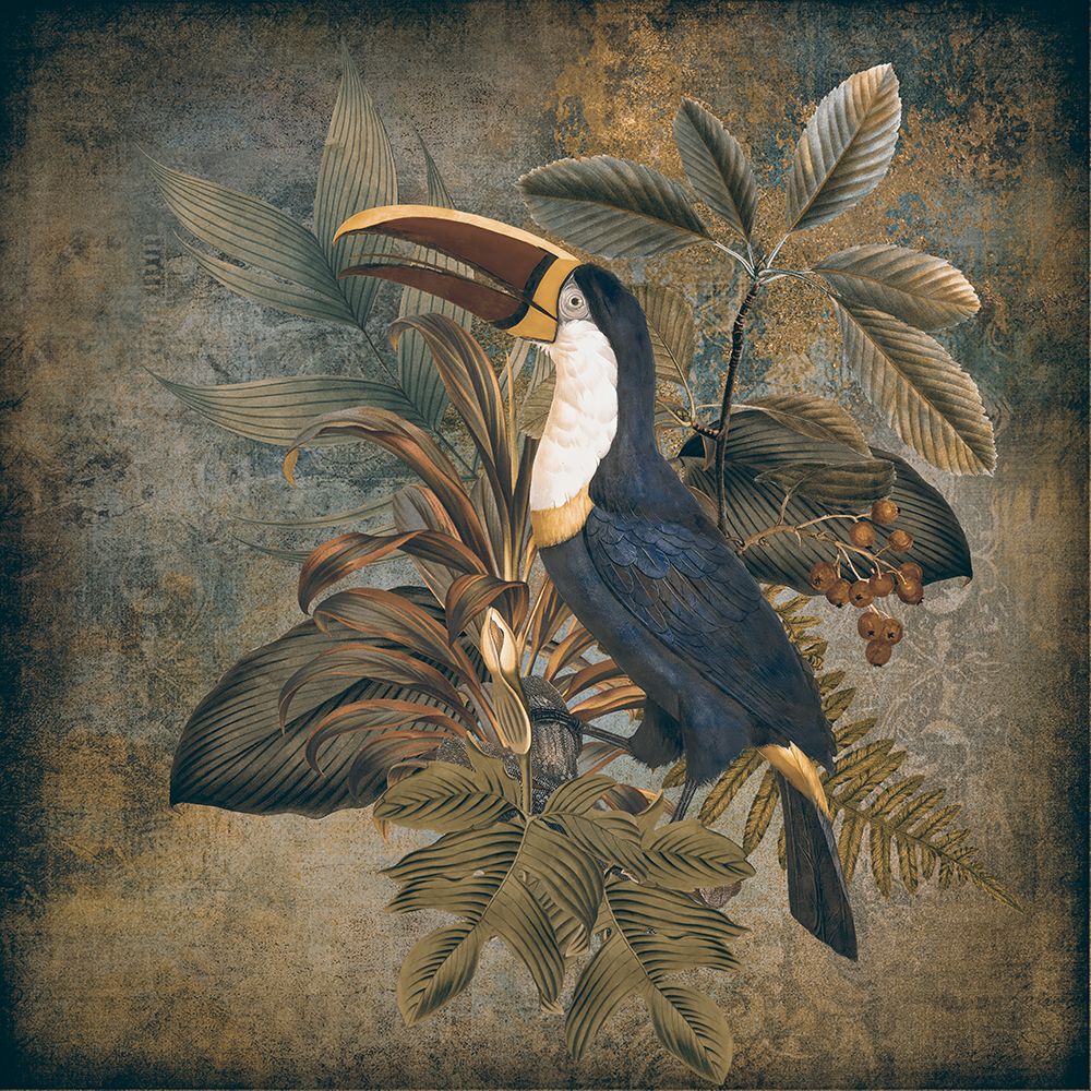 Toucan 2 art print by Andrea Haase for $57.95 CAD