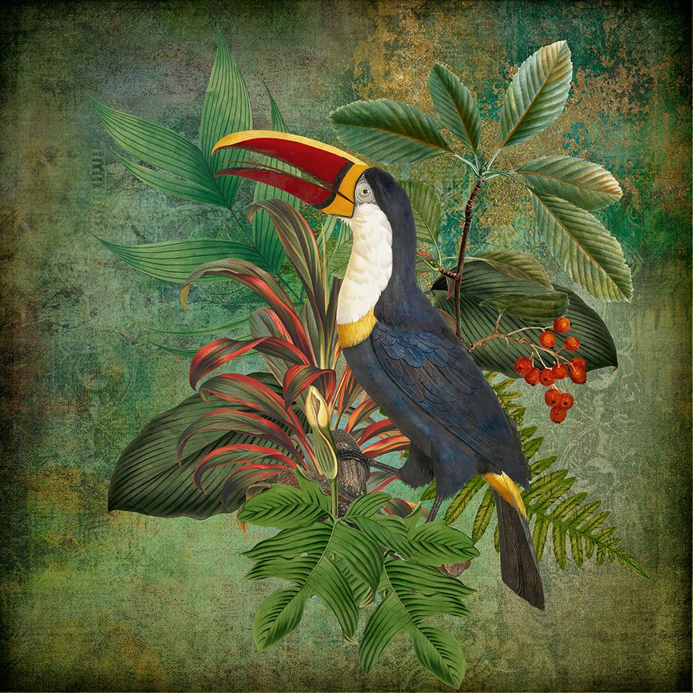 Toucan art print by Andrea Haase for $57.95 CAD