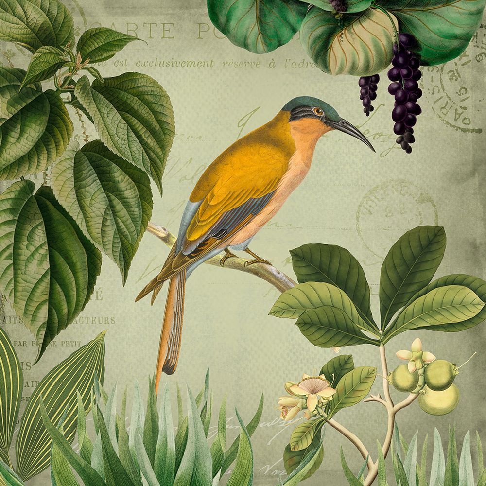 Vintage Birds 2 art print by Andrea Haase for $57.95 CAD