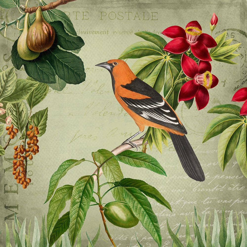 Vintage Birds art print by Andrea Haase for $57.95 CAD