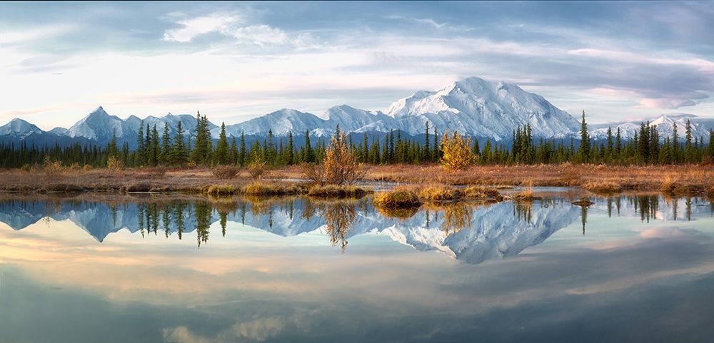 Reflection Of Denali Mountains In Autumn art print by Dianne Mao for $57.95 CAD