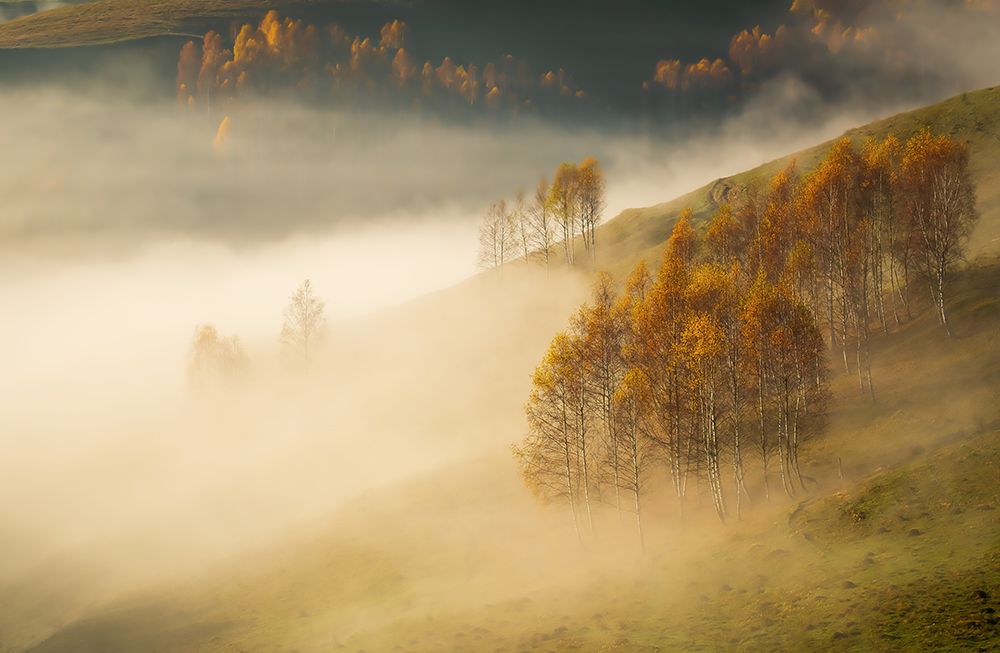 Autumn Morning From Apuseni Mountains art print by Alexandru Pavel for $57.95 CAD