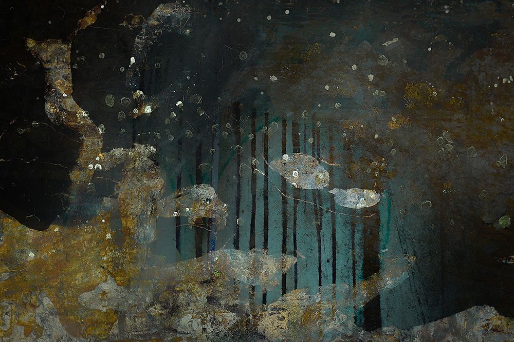 Captured art print by Nel Talen for $57.95 CAD