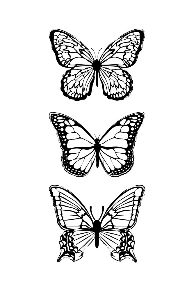 Black Butterflies art print by Martina for $57.95 CAD