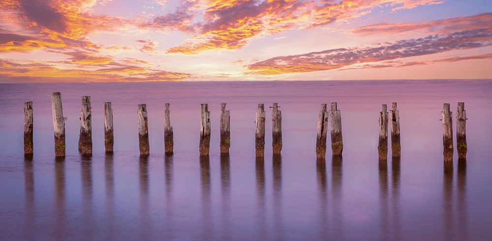 Cape Pilings in Purple art print by Ed Esposito for $57.95 CAD