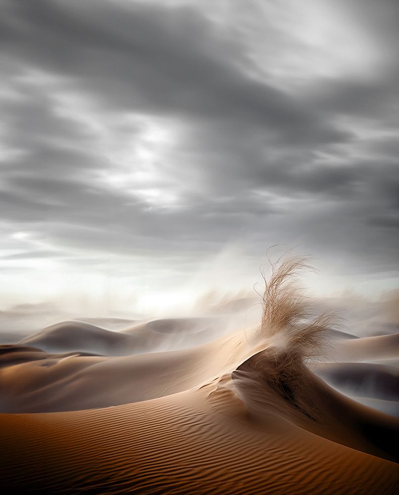 Desert Waves art print by Hosam.Karara for $57.95 CAD