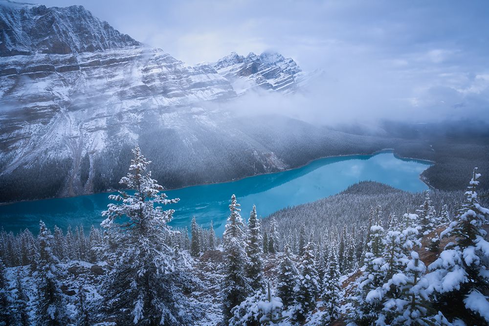 Winter Peyto Lake art print by Yongnan Li for $57.95 CAD