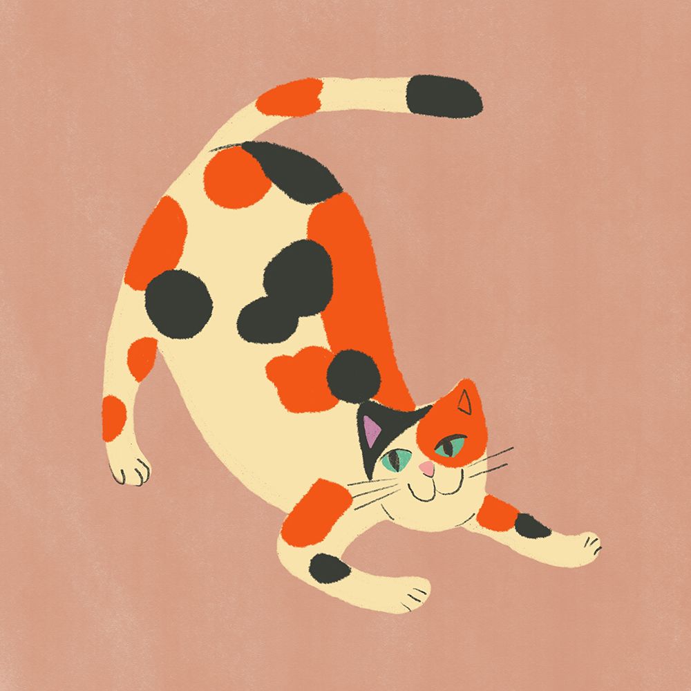 Pouncing Cat Var art print by Little Dean for $57.95 CAD