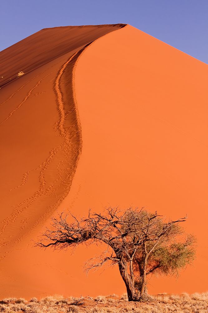 Desert Dune art print by Dirk Lombard for $57.95 CAD