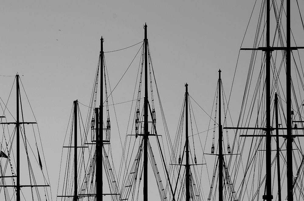 Masts art print by Dan Edwards for $57.95 CAD