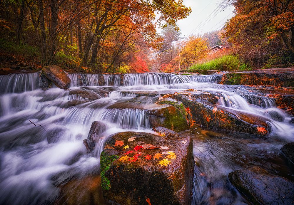 Mountain Streams art print by Tiger Seo for $57.95 CAD