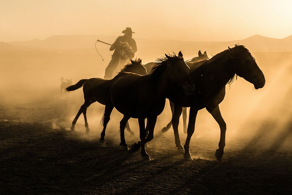 Run Between Horses art print by Corinne Spector for $57.95 CAD