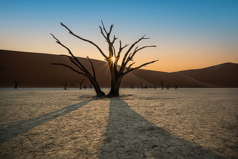 Dot of sossusvlei art print by Isam Telhami for $57.95 CAD