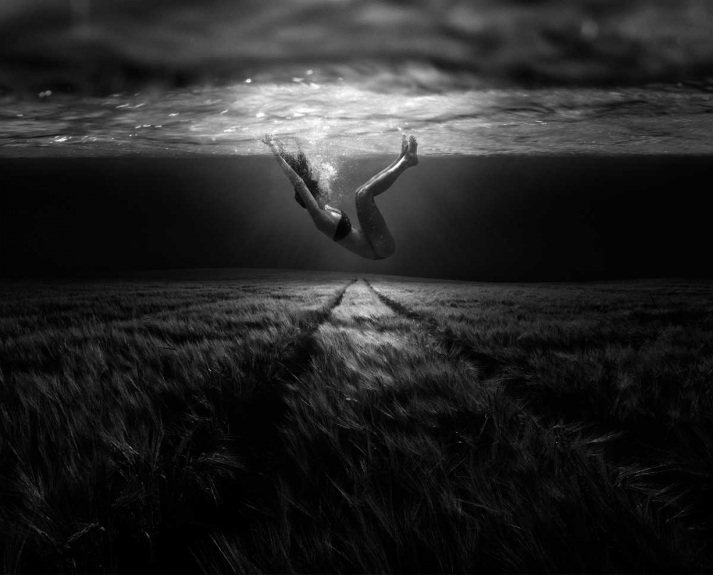Underwaterlandream art print by Peter Majkut for $57.95 CAD