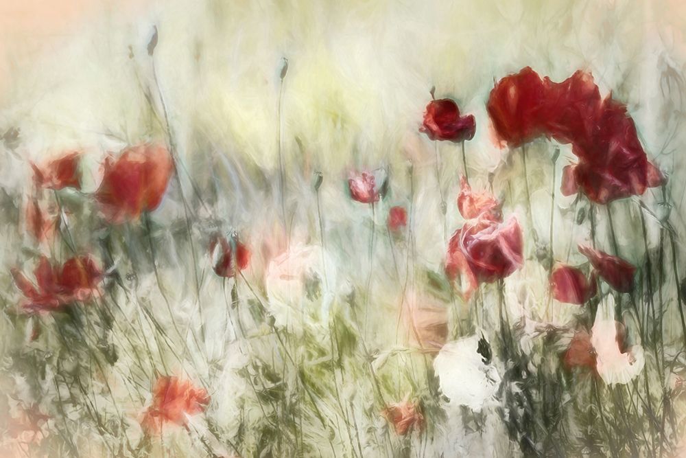 Charming wild nature art print by Gilbert Claes for $57.95 CAD