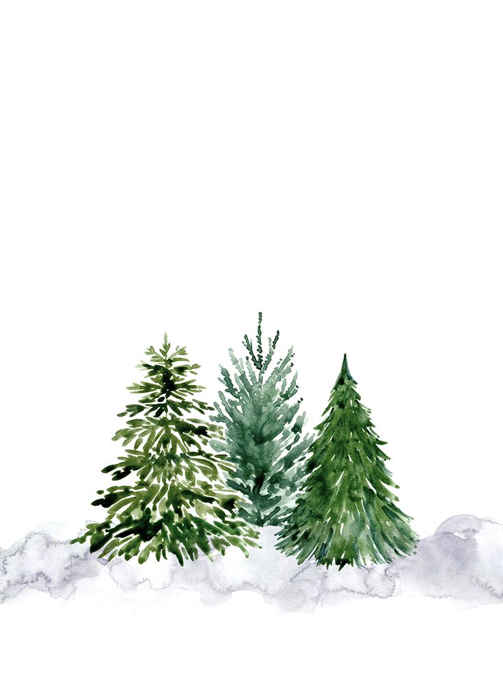 Three Watercolor Pine Trees art print by Rosana Laiz Blursbyai for $57.95 CAD