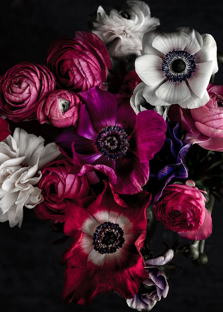 Dark Flowers 1 art print by Mareike Bohmer for $57.95 CAD