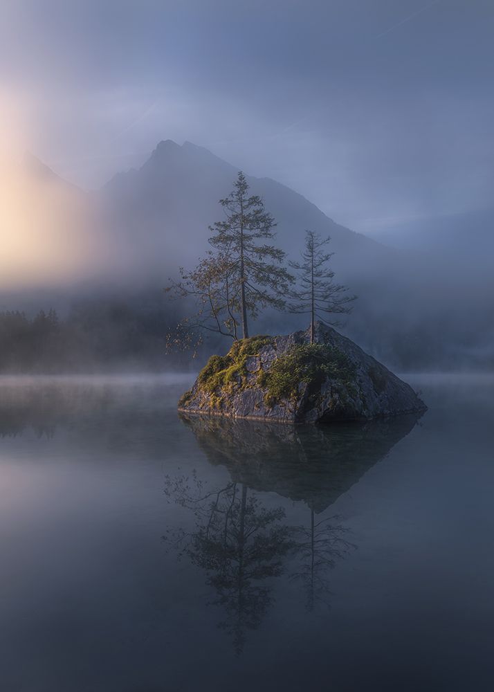 Misty Morning Solitude art print by Jianping Yang for $57.95 CAD