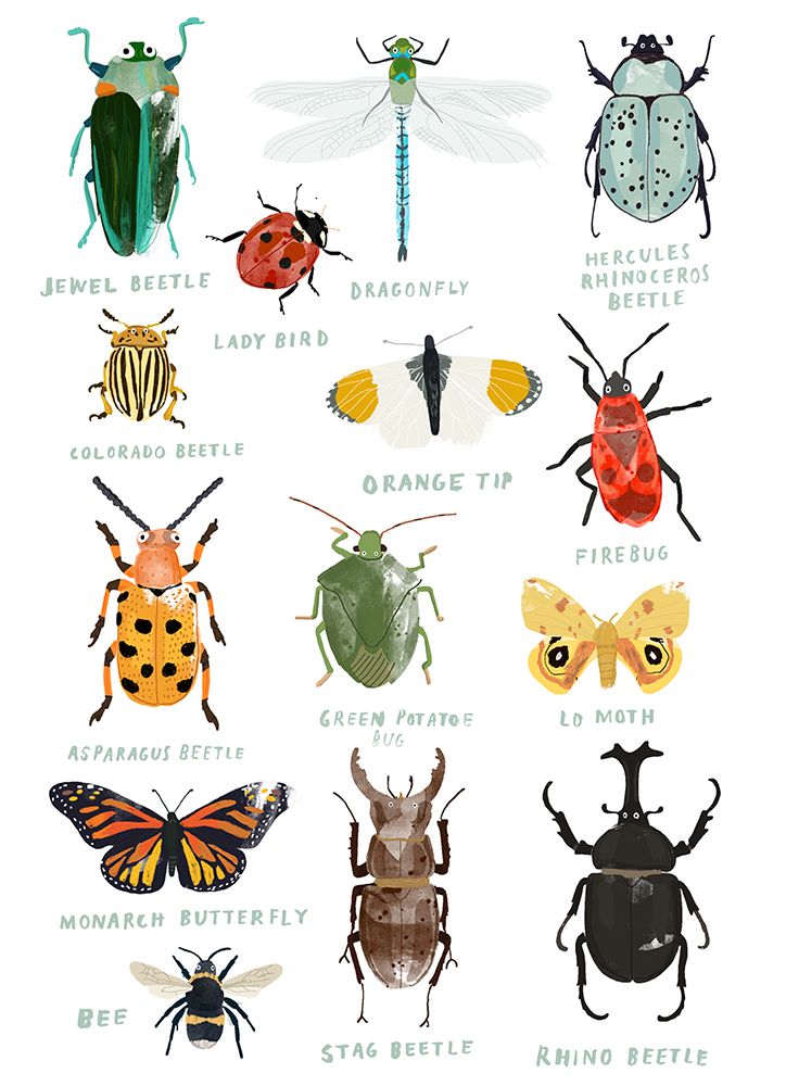 Bugs art print by Hanna Melin for $57.95 CAD