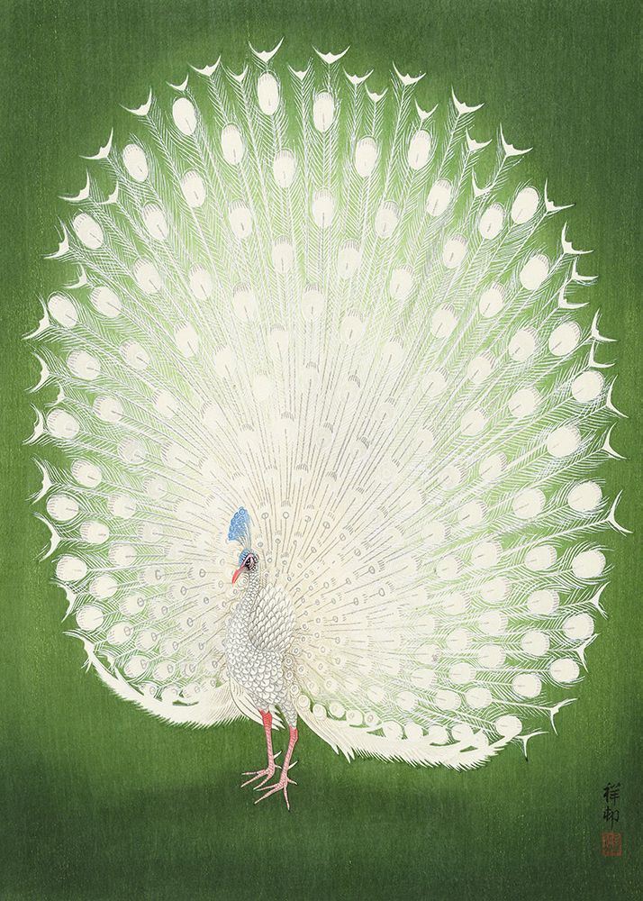 Peacock 50x70 art print by Ohara Koson for $57.95 CAD