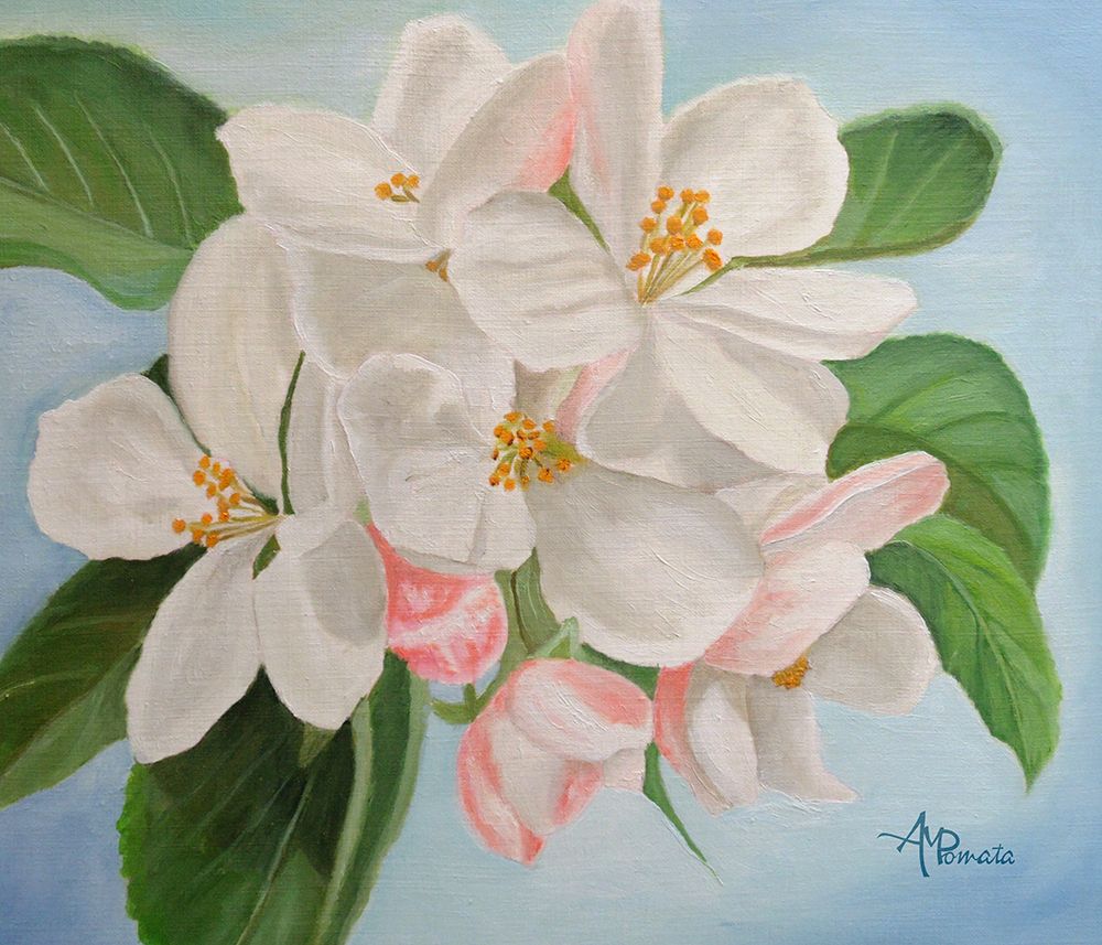 Apple Blossom art print by Angeles M. Pomata for $57.95 CAD