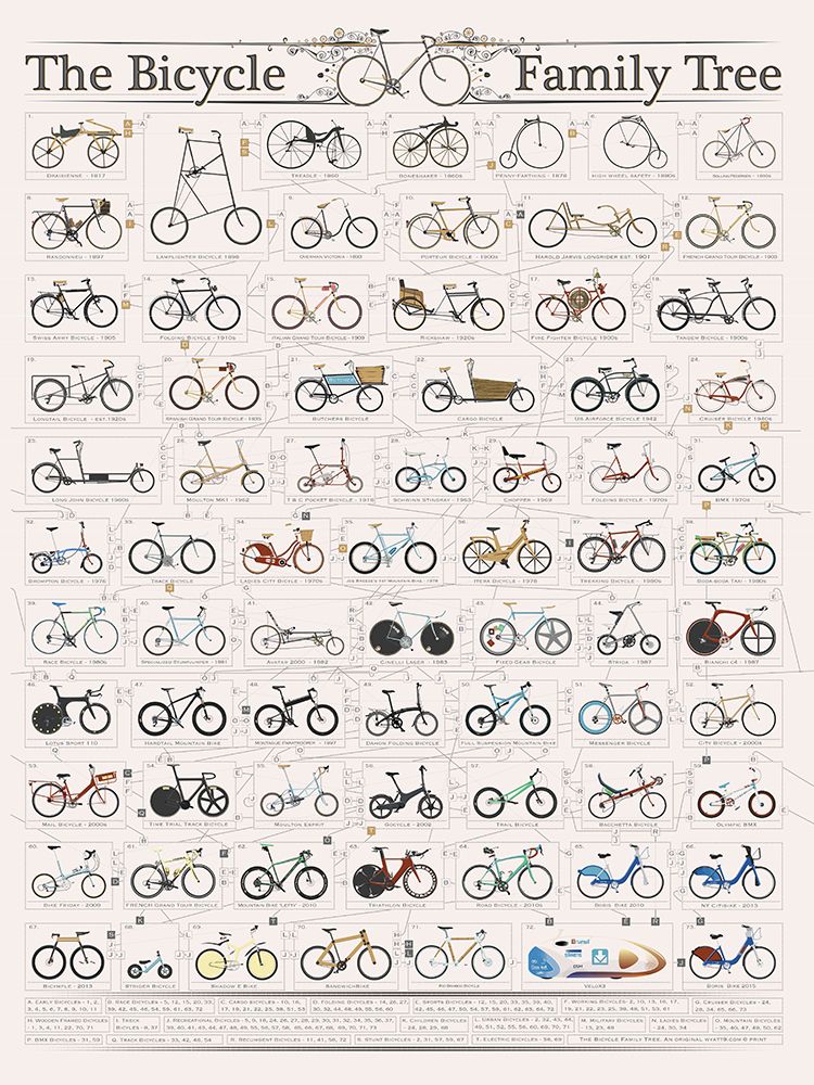 The History of the Bicycle art print by Wyatt 9 for $57.95 CAD
