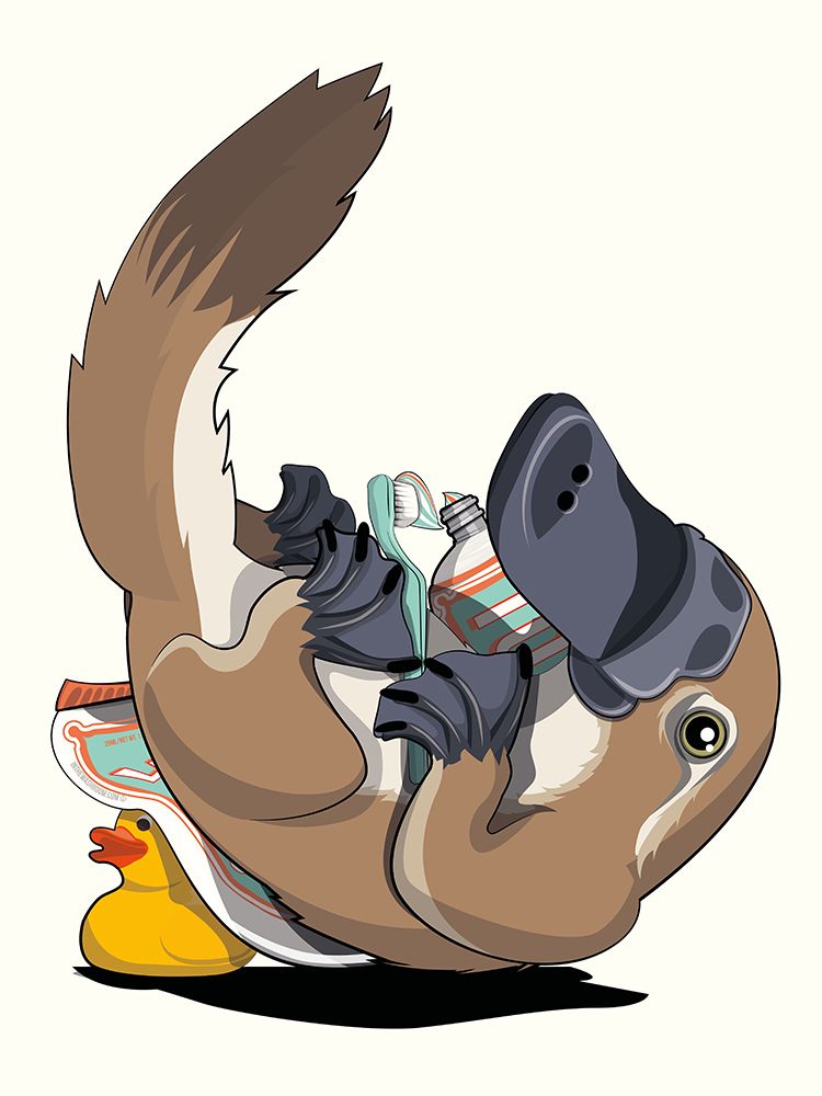 Australian Platypus Cleaning Teeth art print by In The Washroom for $57.95 CAD