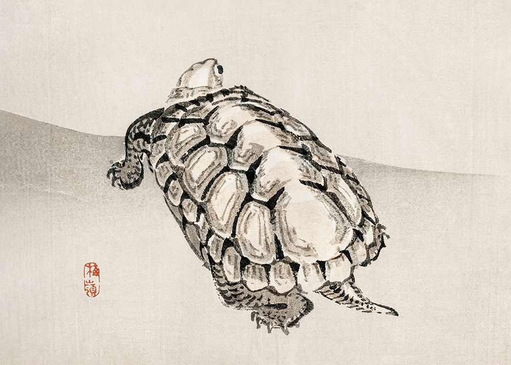 Turtle art print by Pictufy for $57.95 CAD