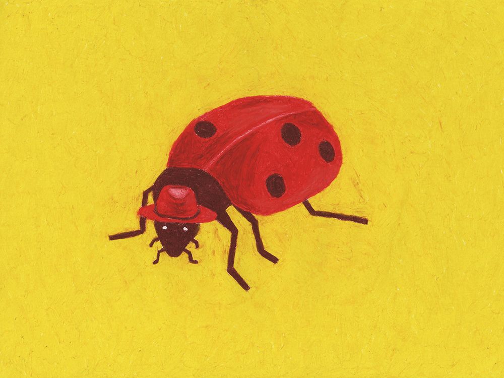 Ladybird art print by Anyone Can Yeehaw for $57.95 CAD
