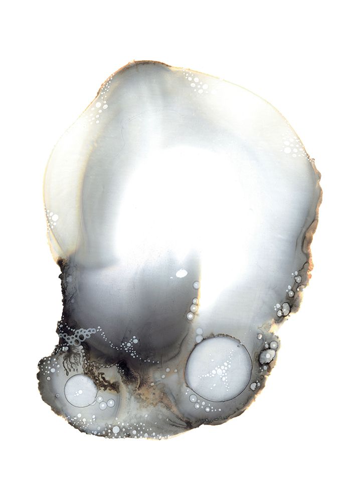 Specimen XI art print by Amy Louise Baker for $57.95 CAD